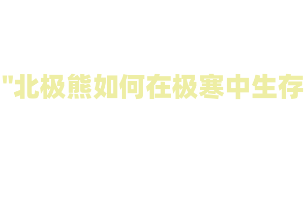 "北极熊如何在极寒中生存？"